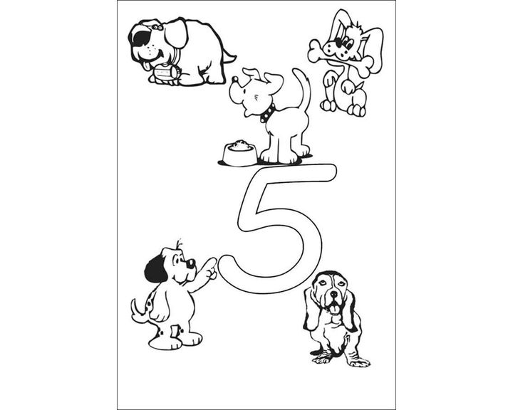 Пять собак