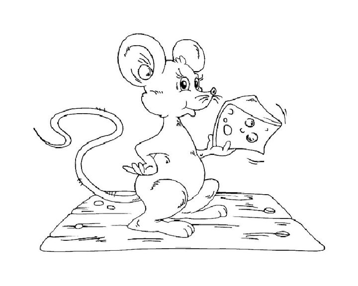 Мышь кушает сыр