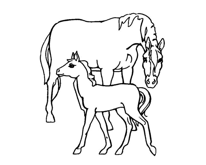 Лошадь породы Карабахская