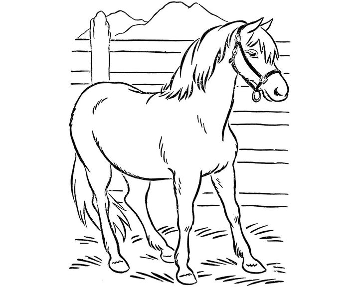 Лошадь породы Киргизская