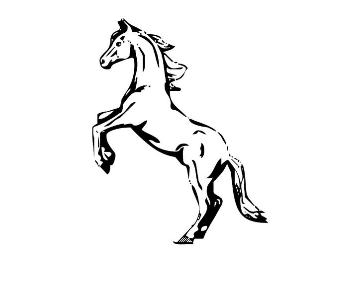 Лошадь породы Гонтер