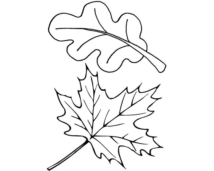 Оживленный листок с дерева