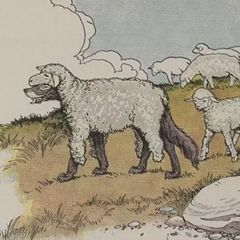 Овцы и Собаки слушать