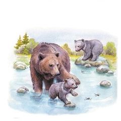 Купание медвежат слушать