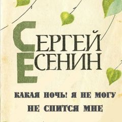 Какая ночь! Я не могу Не спится мне слушать