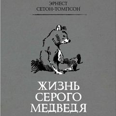 Жизнь серого медведя слушать