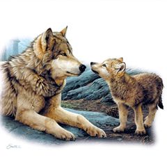 Волк и Волчонок слушать