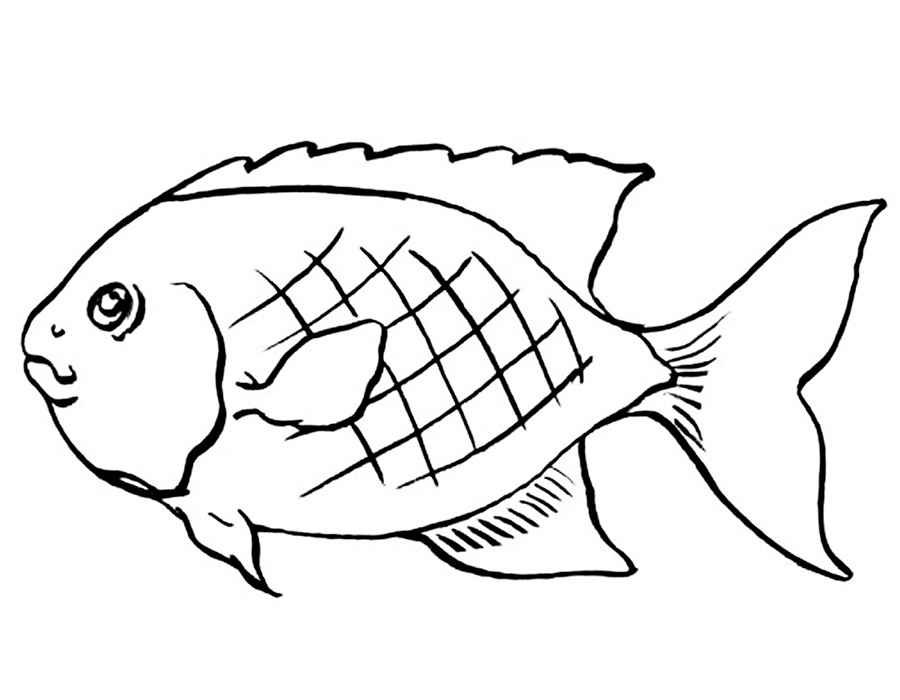 Раскраска рыбы