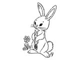 Кролик и цветок