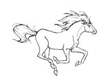 Лошадь породы Кишбер