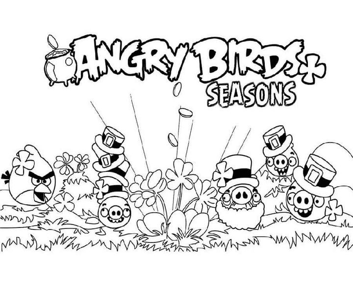 Angry Birds на пикнике