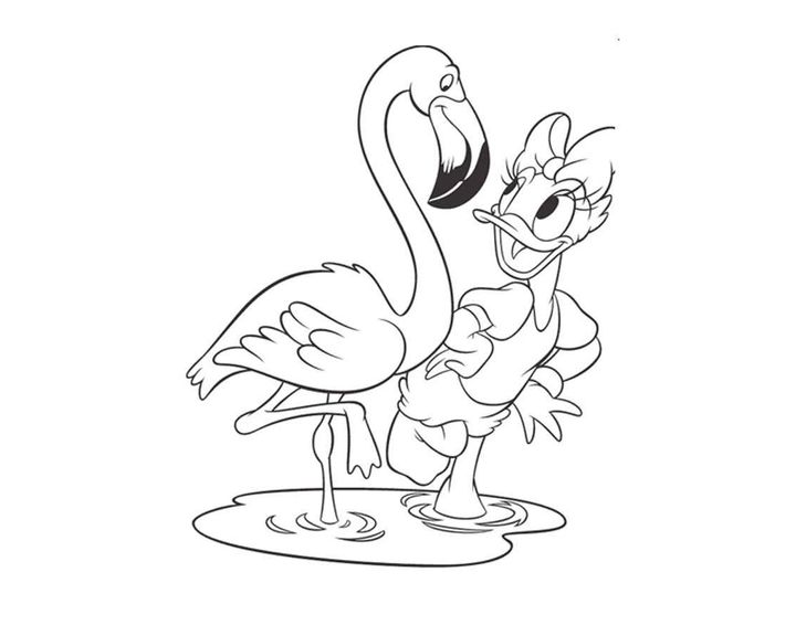 Дина и фламинго