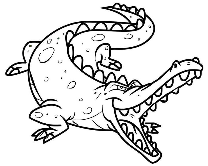 Крокодил в атаке