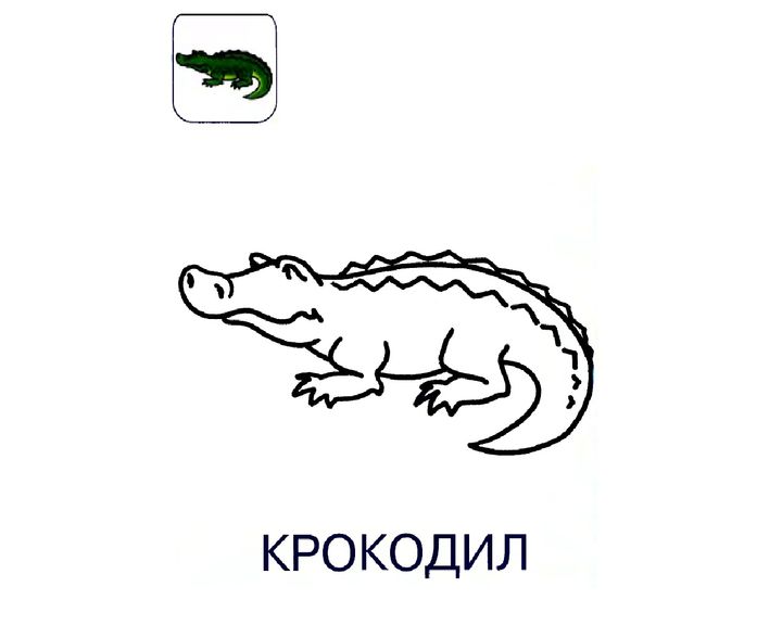 Крокодил 