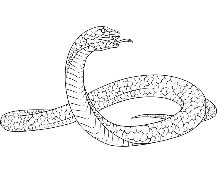 Лучистая змея