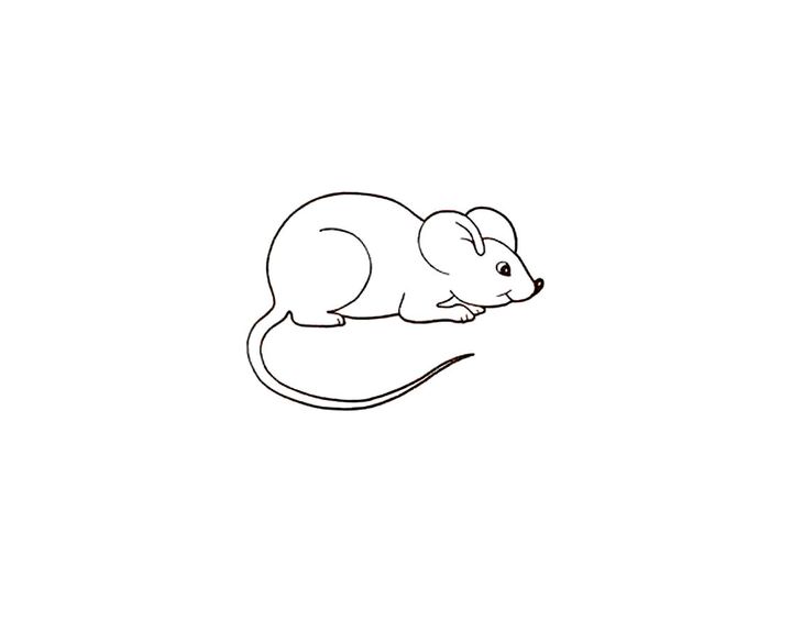 Мышь обыкновенная