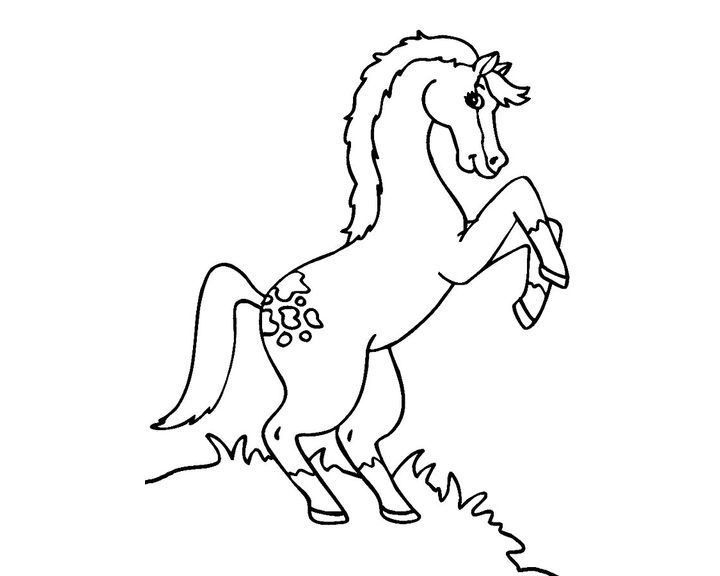 Лошадь породы Каспийская