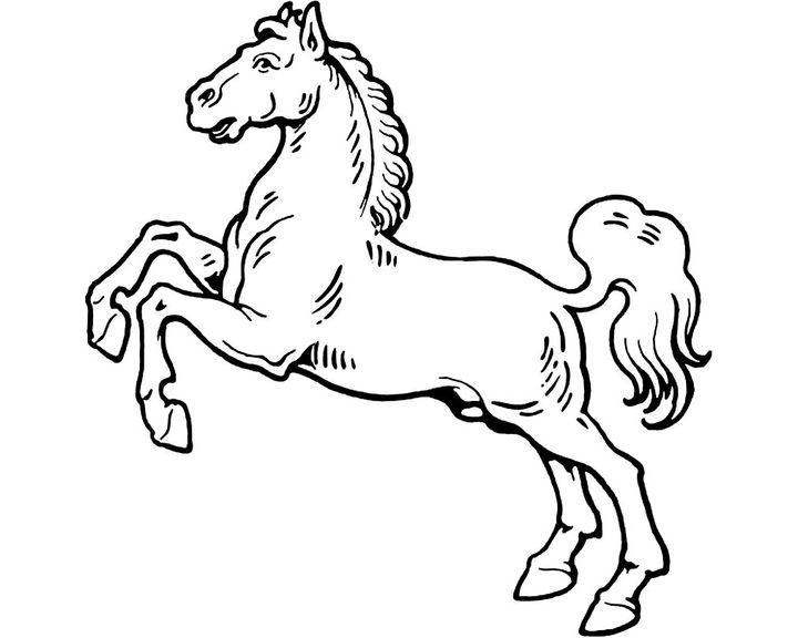 Лошадь породы Делибоз
