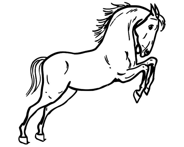 Лошадь породы Иберийская
