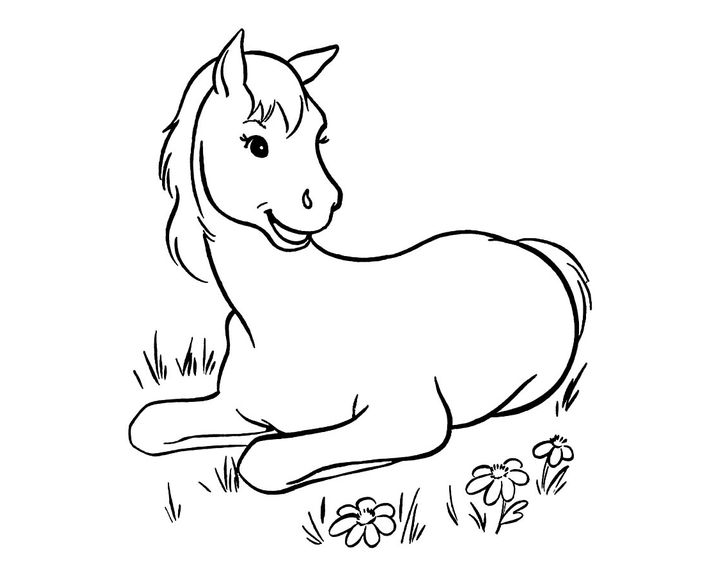 Лошадь породы Кабардинская