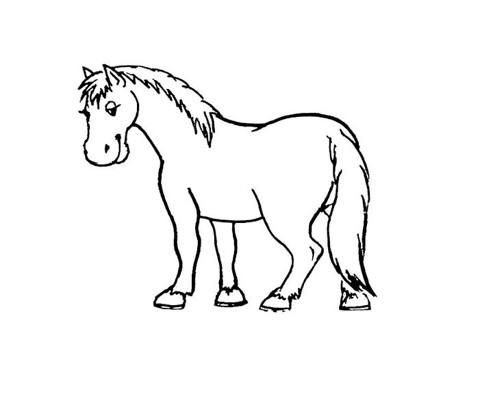 Лошадь породы Балеарская