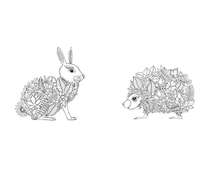 Заяц и еж