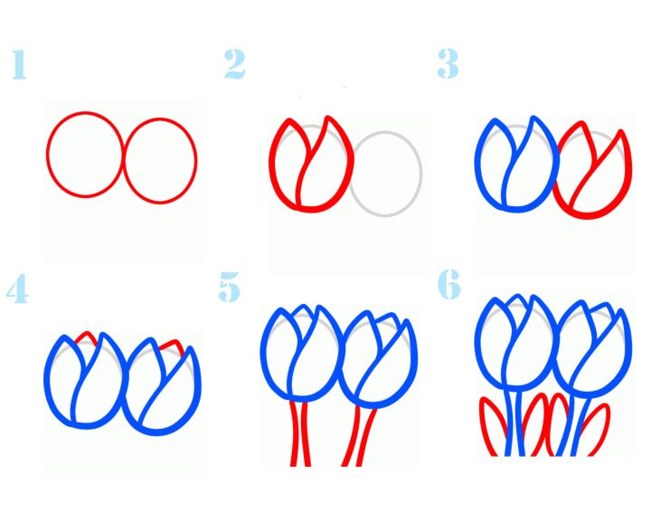 Рисуем поэтапно тюльпаны 2 класс