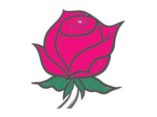 Роза 